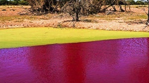 Озеро в Парагвае за одну ночь стало кроваво-красным